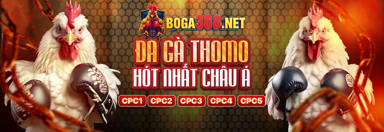 Chương trình Đối tác 36win app